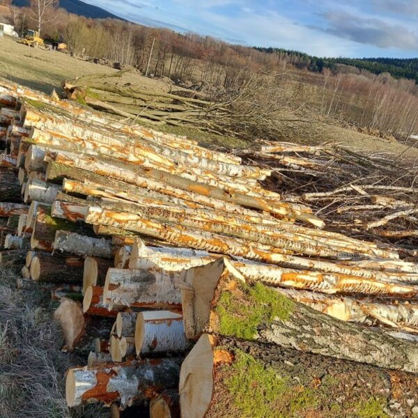 Grumes de bouleau – Demi-chargement de camion 22,5 m³ (22,5 stères)